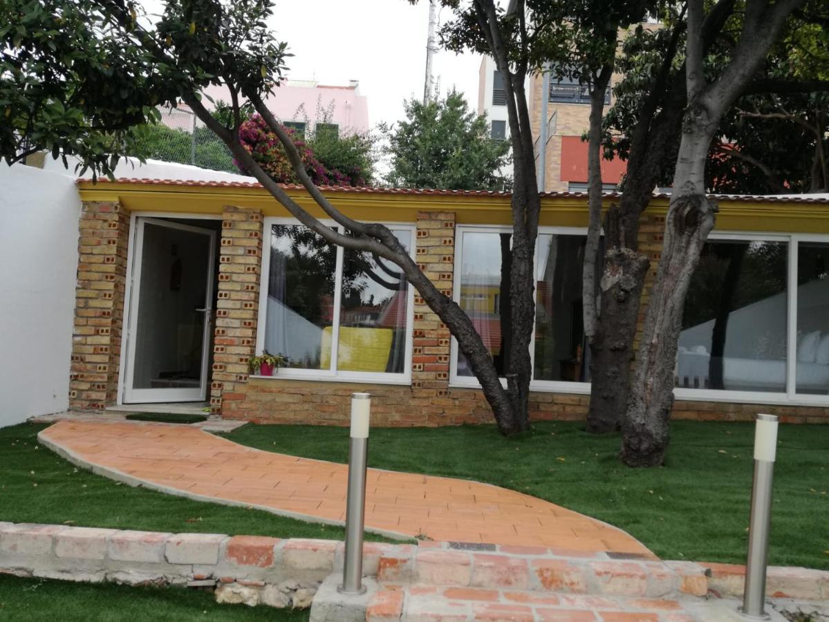 Apartment Garden View